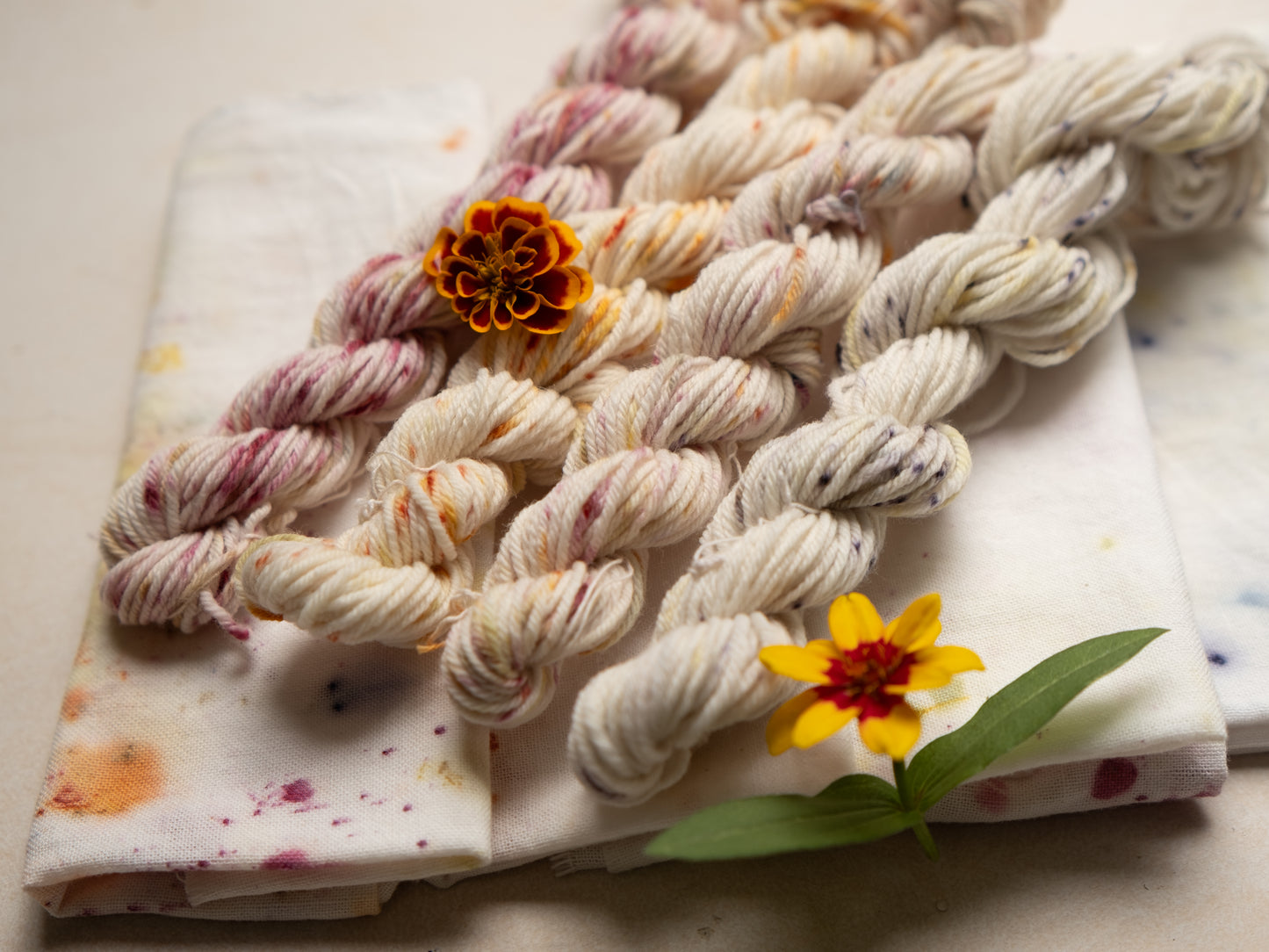 Bundle Dye Kit