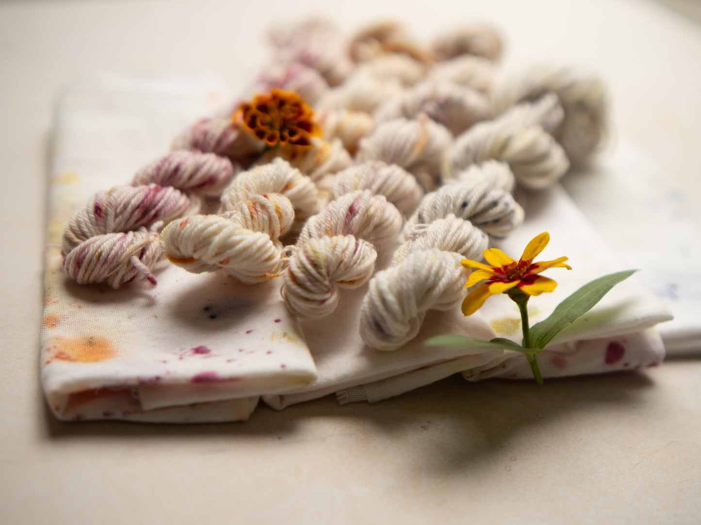 Bundle Dye Kit