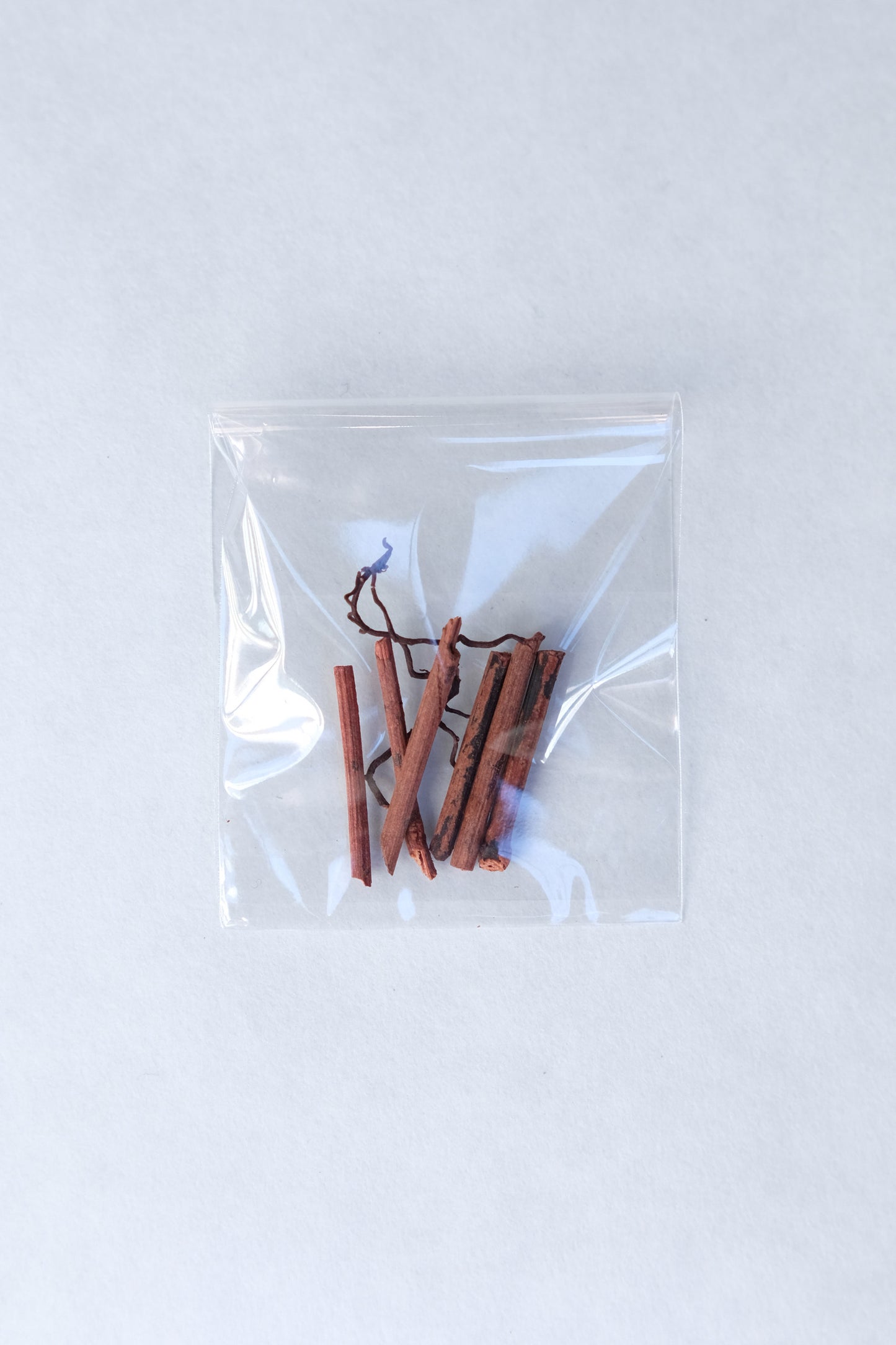 干支糸セット -辰-