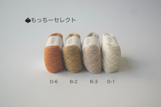 ［NONA細糸］単品販売 - 10月NONA BUFFET