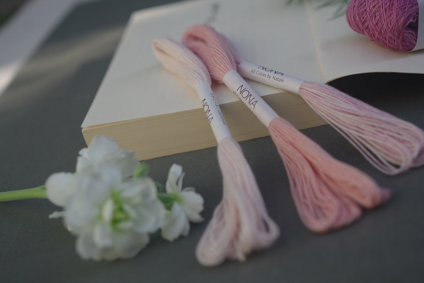 ［NONA糸］単品販売 - 12月NONA BUFFET