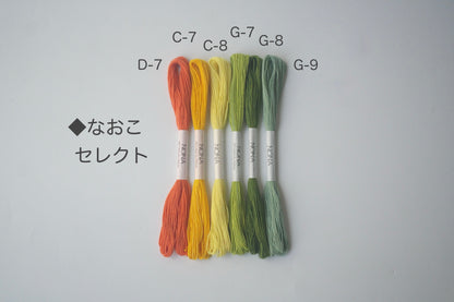 ［NONA糸］単品販売 -  8月NONA BUFFET