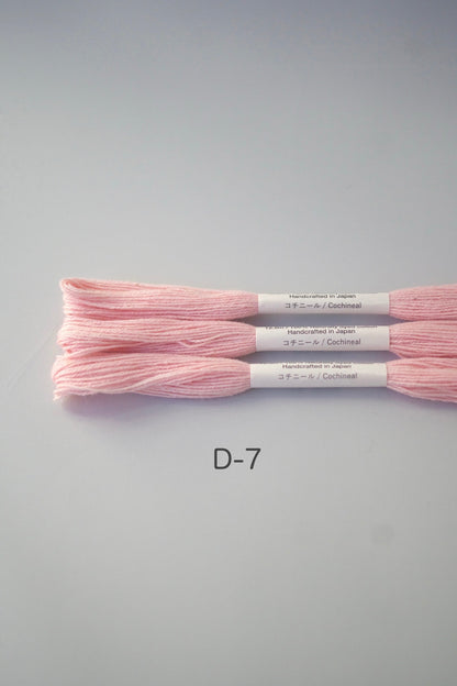 ［NONA糸］単品販売 - 2月NONA BUFFET