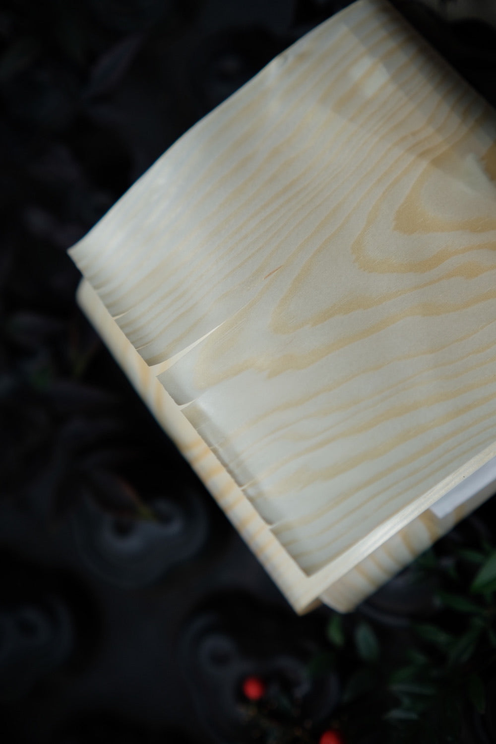  【SPECIAL】NONA OSECHI Natural Dyed Thread Box Set　